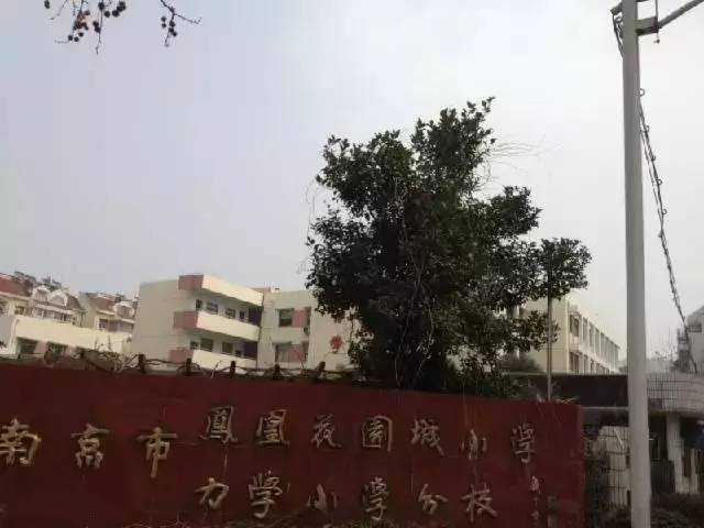 南京最好的小学排名情况     排名前十都有哪几所（附学校图片）