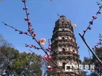 为什么说苏州经贸成就未来经贸人？苏州经贸校园景色怎样？