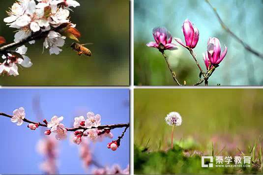 为什么说苏州经贸成就未来经贸人？苏州经贸校园景色怎样？