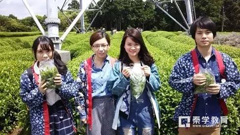 厦大国际学院是上厦门大学的另一个途径，一所国际范院校