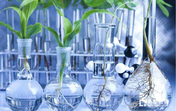 什么是生物科学专业?学什么？生物科学专业院校推荐|就业前景|招生类别
