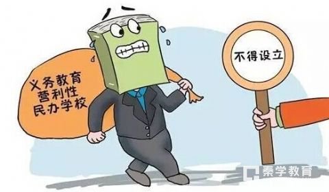 要不要取消民办学校？民办教育有哪些特点？取消民办学校会有怎样的后果？
