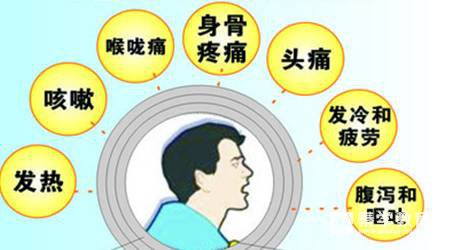 香港严重流感,流感跟什么有关?流感要怎么预防?流感的主要症状有哪些？