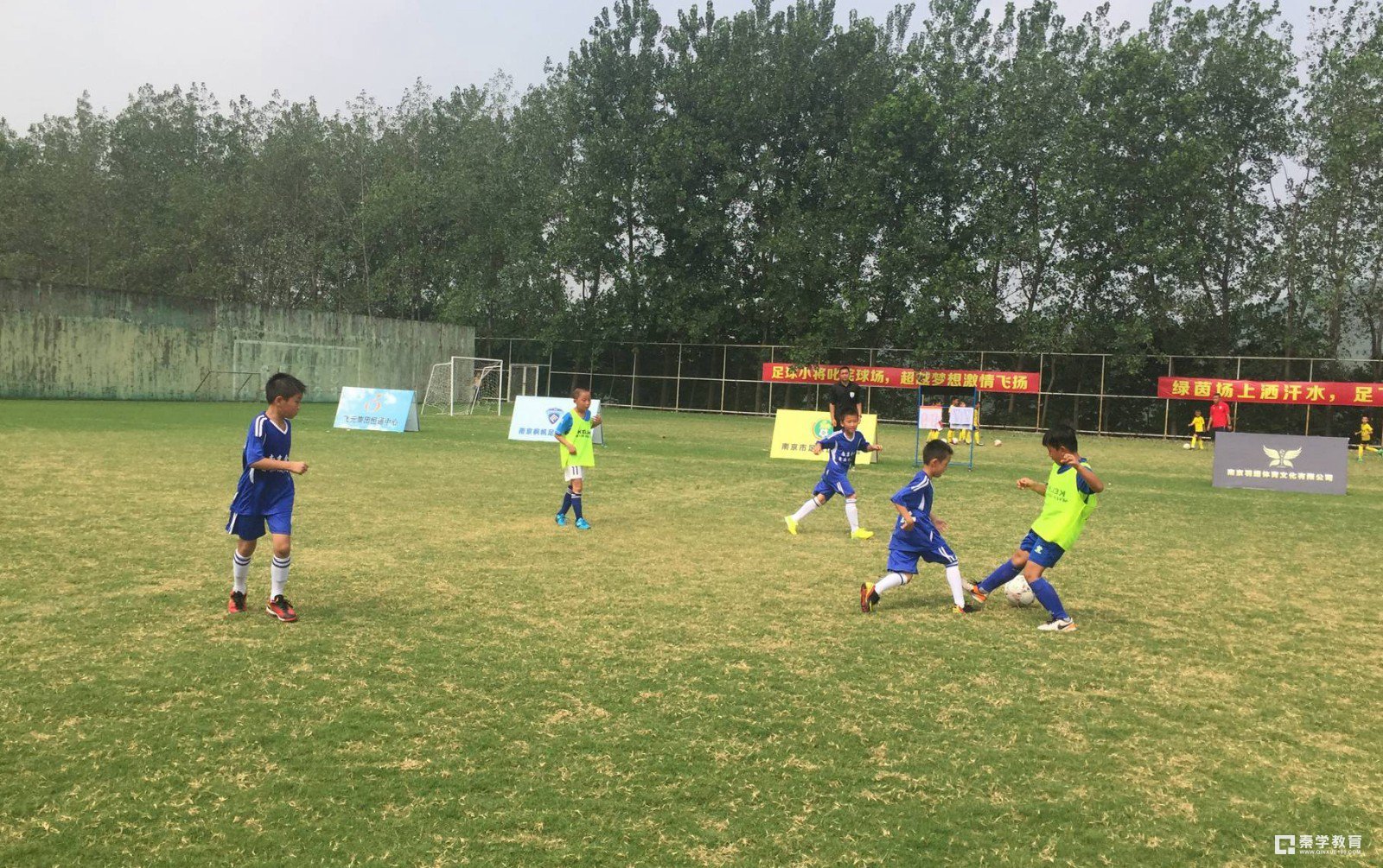 新城小学南校区获“枫帆杯”双冠王，新城小学南校区足球队有多牛？