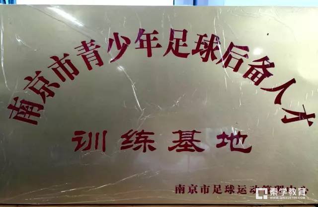新城小学南校区获“枫帆杯”双冠王，新城小学南校区足球队有多牛？