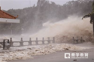 最强台风“天鸽”登陆，台风来临要做好哪些预防措施？