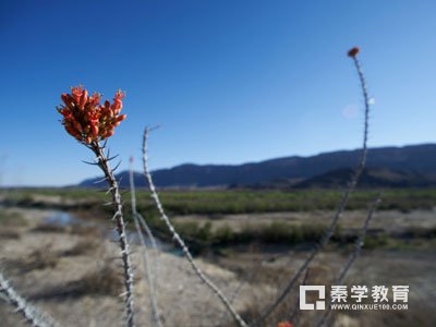 别让错别字拉低了你的中考分数，中考经常错的错别字汇总