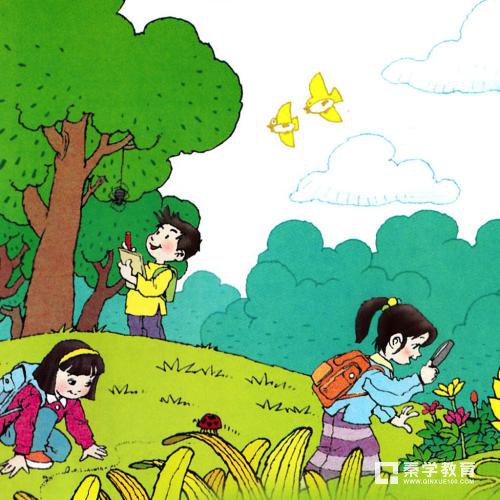 孩子小学语文学不好，关键是没有掌握这些小学语文知识