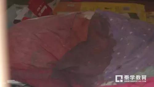 扬州高二男生将亲生母亲砍成重伤，只是因为母亲拔掉了网线