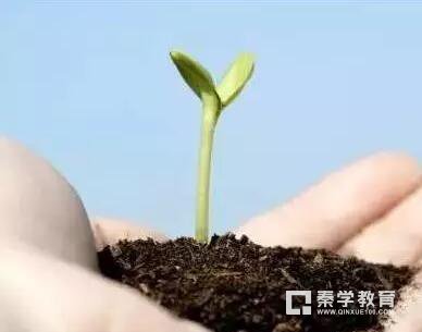 家长应该如何对待孩子的老师？转给所有家长看的一篇文章