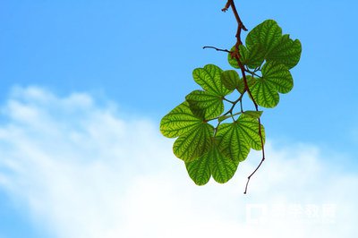 小学一到五年级给孩子养成什么好习惯？家长们赶紧给孩子培养吧
