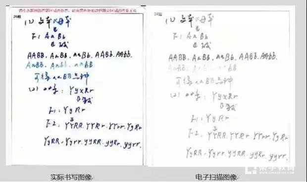 中考改革对哪些学生最不好？将产生怎样的危害?如何纠正？