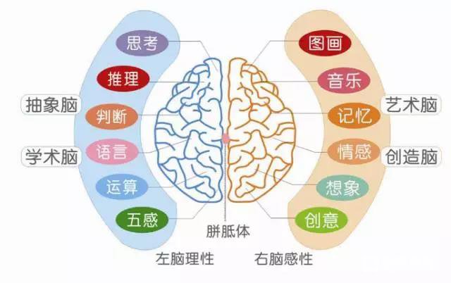 大声朗读课文对你有这么多的好处，高考之前都要大声朗读课文