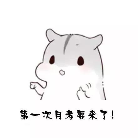 高考数学第一次月考怎么考？用数学月考证明自己的实力的时候到了