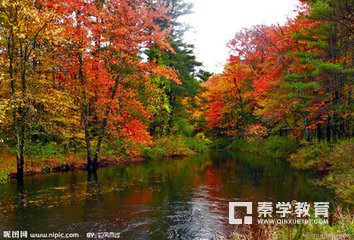 作文素材摘抄--描述秋天的段落,词句!