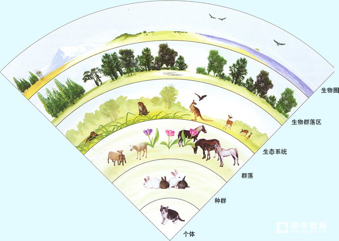 生态系统的能量流动教学设计 一,教学设计思路