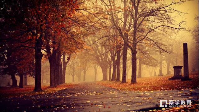 高中物理计算题：大题明白套路但是不会写过程?解题技巧在这里!!