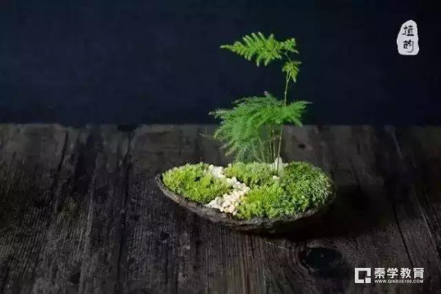 请以“勇气”为题，写一篇作文|思路点评与范文赏析，让你学会如何去写中考作文!