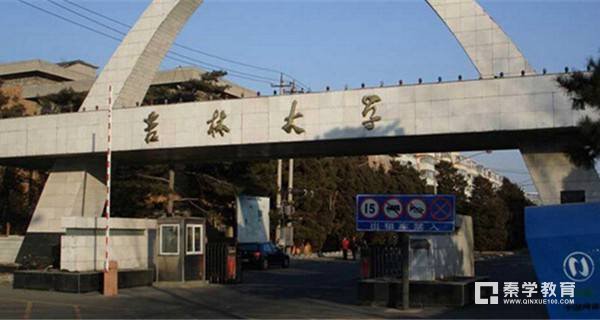 2017年的中国十大名校是哪些？它们的排名情况怎么样？