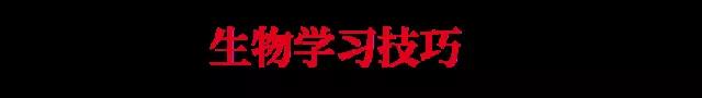 高中生物你得这样学习才能在高考中考高分，不信你可以试试