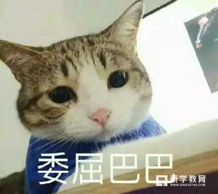 扬州小学生作业量减负，家长不知道的关于小学生的硬性指标