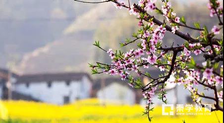 外研版七年级英语上册第二单元检测真题，附测试题答题案
