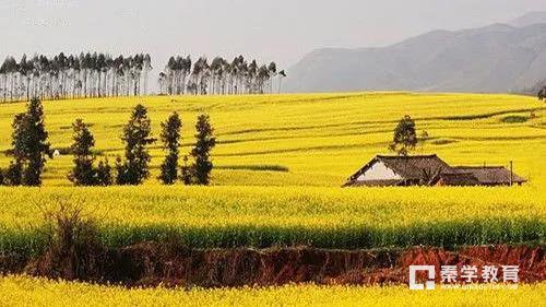 初中英语动词固定搭配大全，含有例句说明非常实用
