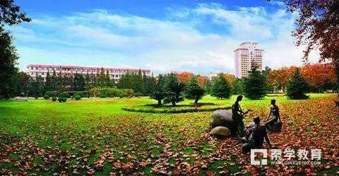 西南财经大学自主招生报名需要什么条件？这是一个怎么样的学校？