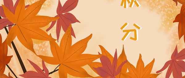 最让人头疼的高中数学如何破解？高三数学你得这样复习