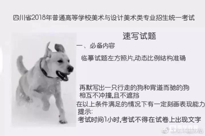 六省美术联考各个省份难度怎么样？看看考生们的吐槽