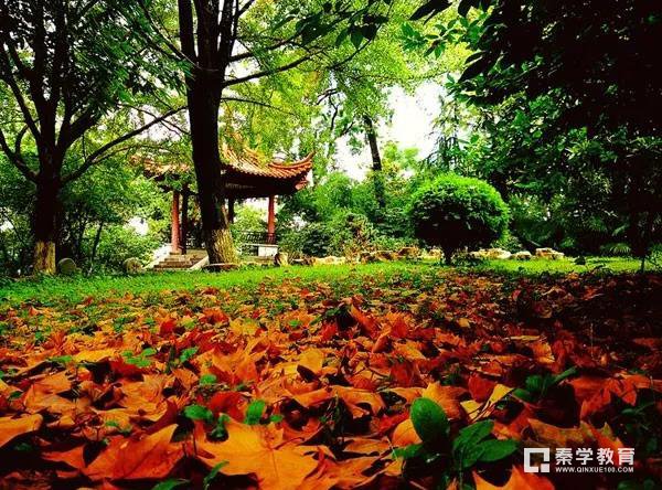 http://js.qinxue100.com/news/201712/44631.html
