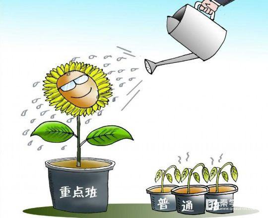 学生入学一段时间后根据学生成绩分重点班、实验班、平行班合理吗？