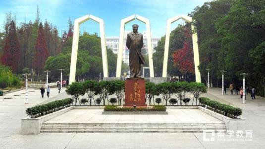 非211、985大学，报考本地的好还是外省的好？