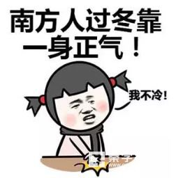 话题作文《北方人的冬季》800字示例作文