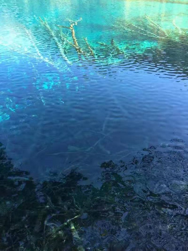 雄伟的近义词是什么？精选雄伟近义词造句及释义说明