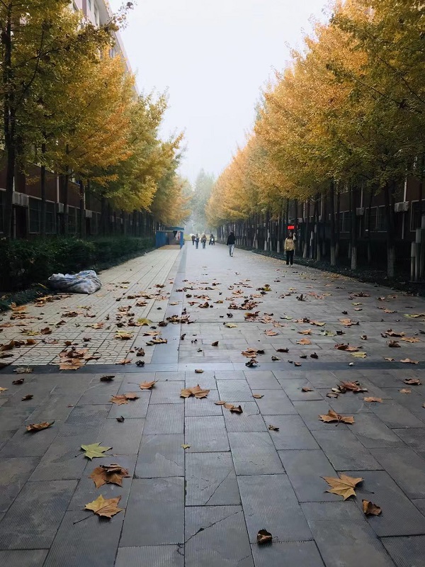 中国传媒大学南广学院排名2017最新排名第12名