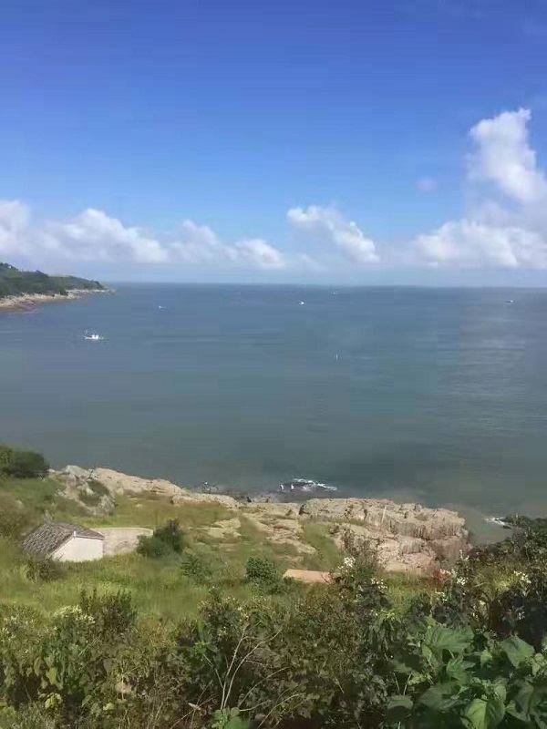 教育部印发普通高中课程方案和课程标准（2017年版）发布