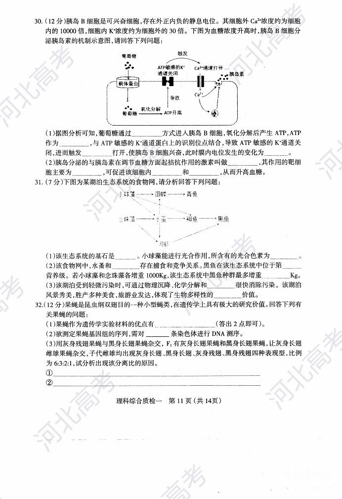 2018年石家庄高三质检理综试卷图片版