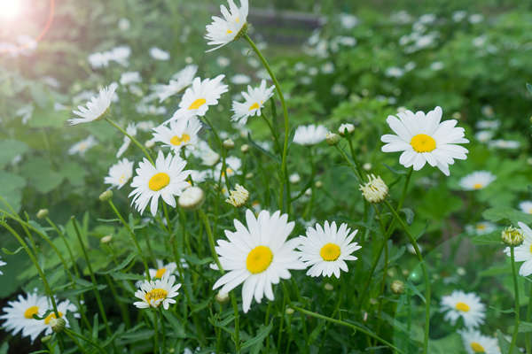 浙江传媒学院2018艺考复试现场,什么时候可以
