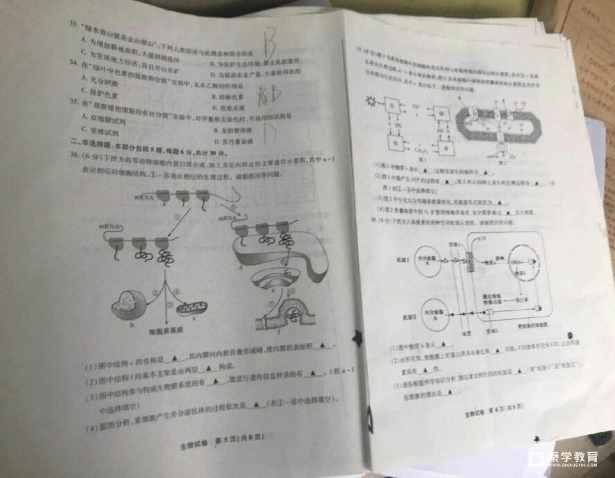 2018江苏省小高考生物试卷及答案（江苏省普通高中学业水平测试生物答案）