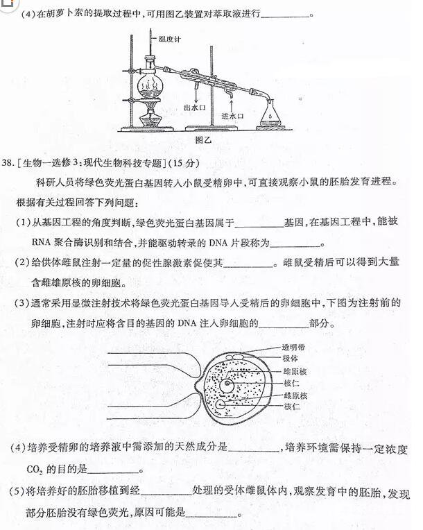 新疆维吾尔自治区2018年普通高考第二次适应性检测理综试题及答案