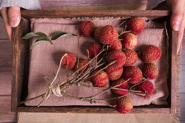 初二抒情作文:《春之诗》