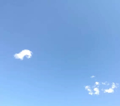 嘱咐的近义词是什么？嘱咐的近义词及造句大全