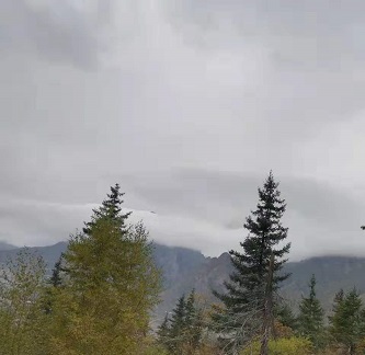 东南大学校区  东南大学校区介绍  东南大学校区地址在哪