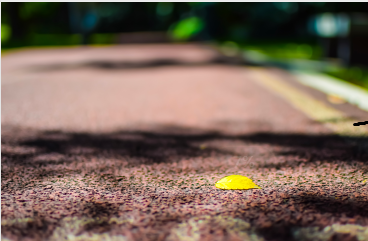 高考之前的十几天内，有什么比较好的复习计划和方法？