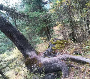 2018年陕西省高考政策有哪些新变化?这些变化