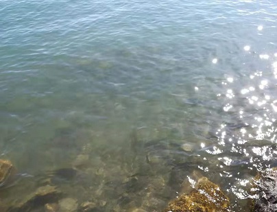 关于理解他人的作文:《有一种感动叫做理解》