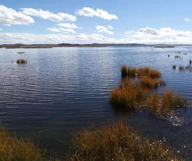北京邮电大学2017年高校专项计划招生各省录