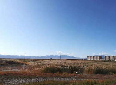 西咸黄冈实验中学泾河学校简介，学校校区地址在哪?