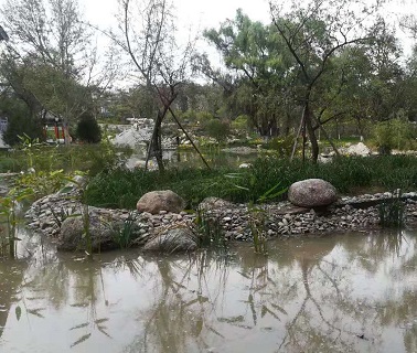 南京有哪些211大学?南京8所211大学详细介绍